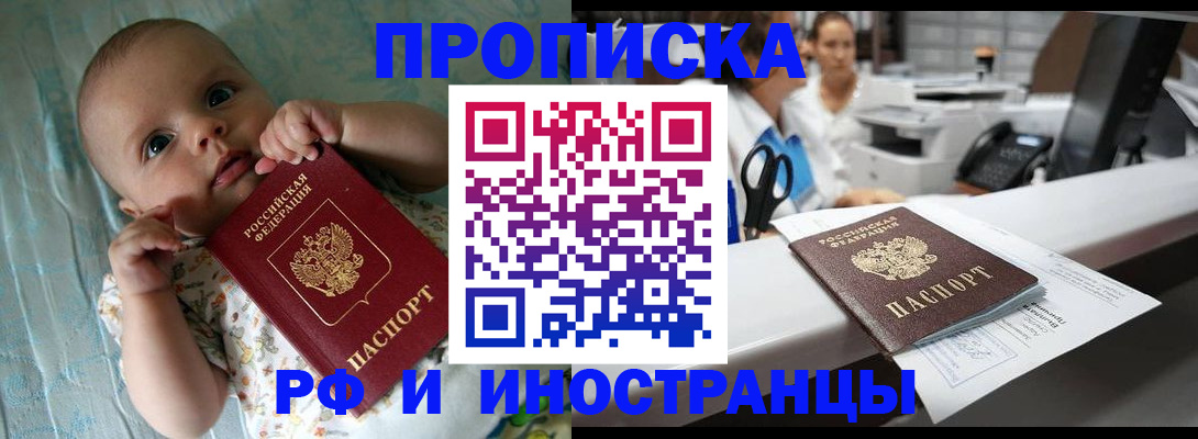 прописка поиск в Долгопрудном